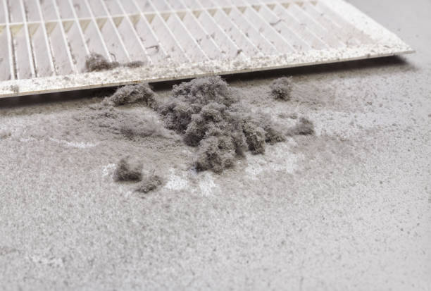 Best Residential Air Duct Cleaning  in Tracy City, TN