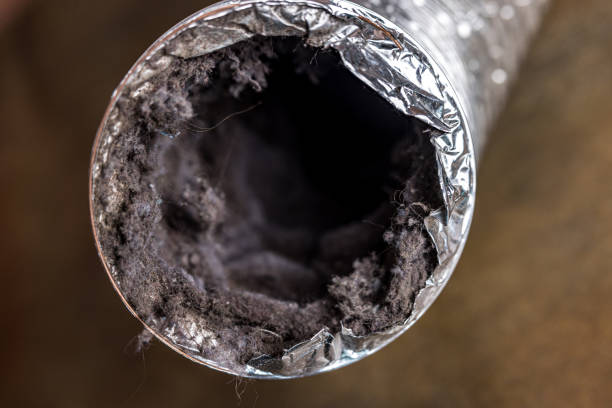 Best HVAC Duct Inspection Services  in Tracy City, TN